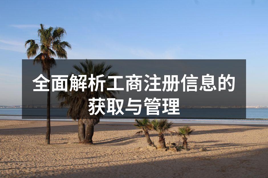 全面解析工商注册信息的获取与管理