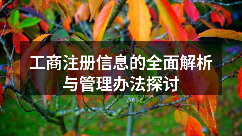 工商注册信息示意图