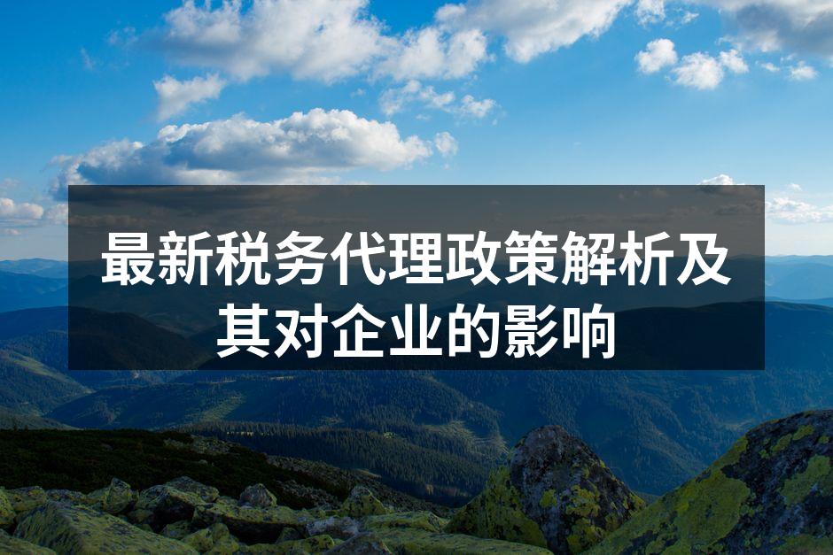税务代理服务提升企业效率