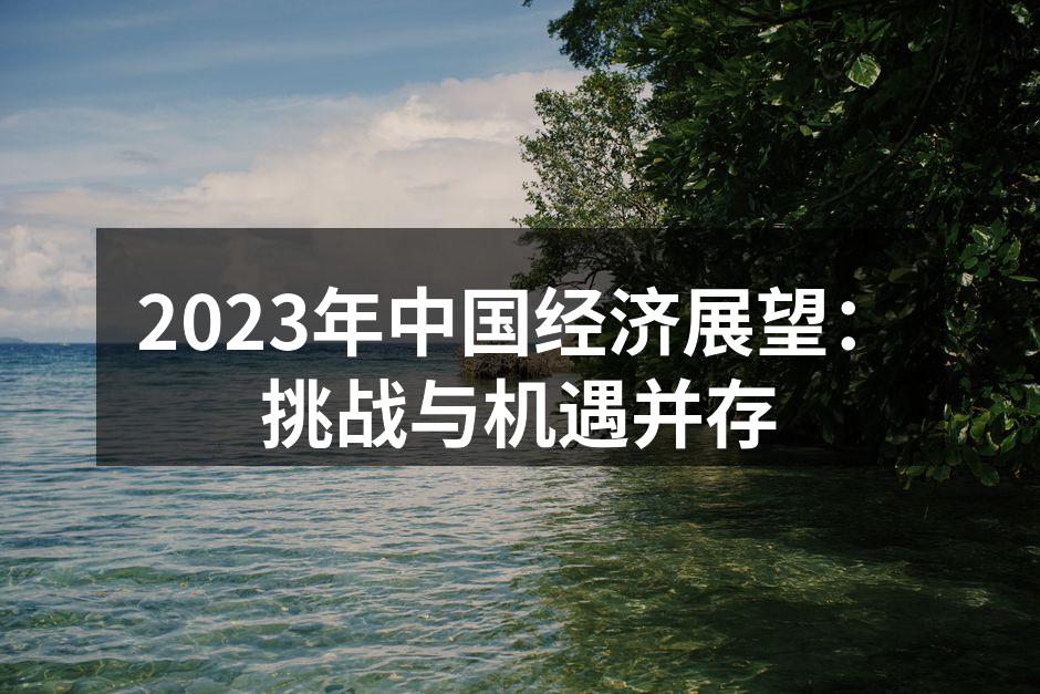 2023年中国经济展望分析