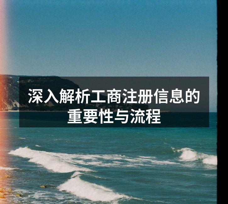 工商注册信息示例