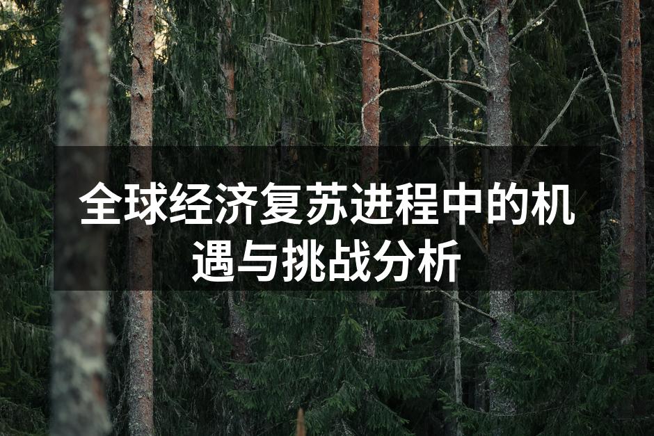 全球经济复苏的步伐加快